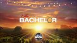 the bachelor logo image