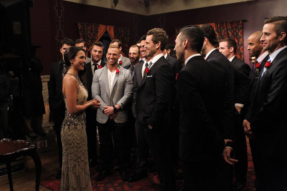 ANDI DORFMAN, BACHELORS