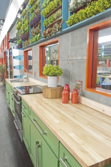 Big Brother 2014 Spoilers – Season 16 House 15