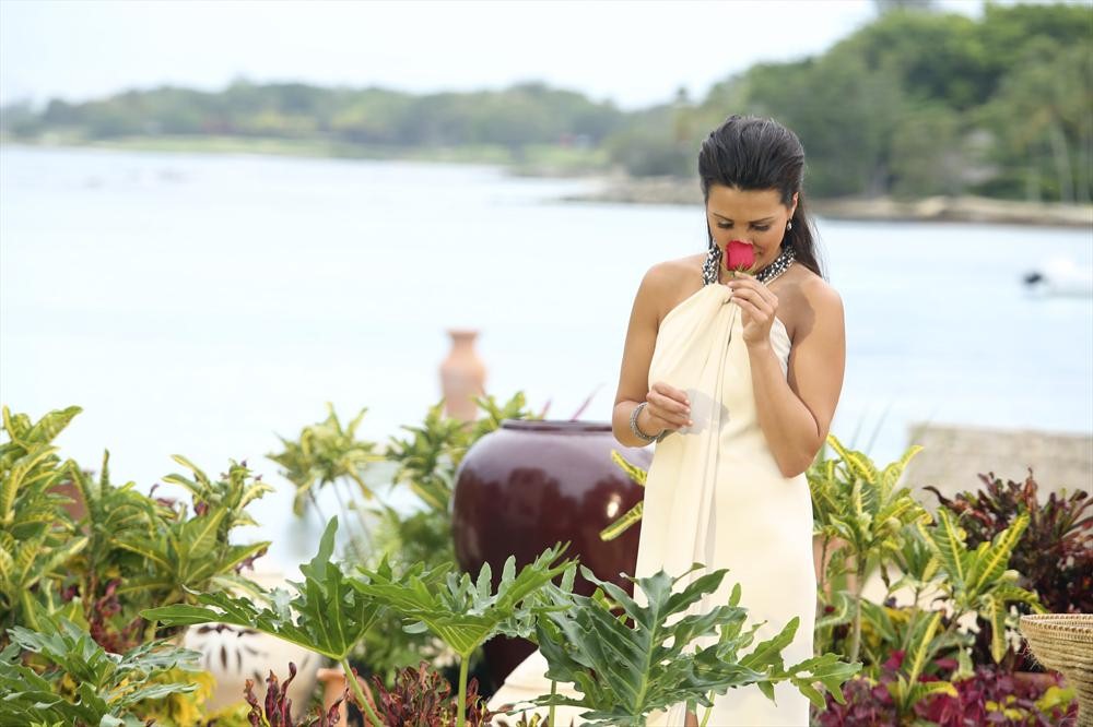 ANDI DORFMAN