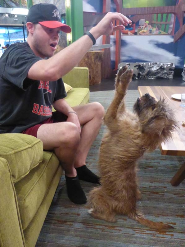 Big Brother 2014 Spoilers – Week 11 HoH Photos 7