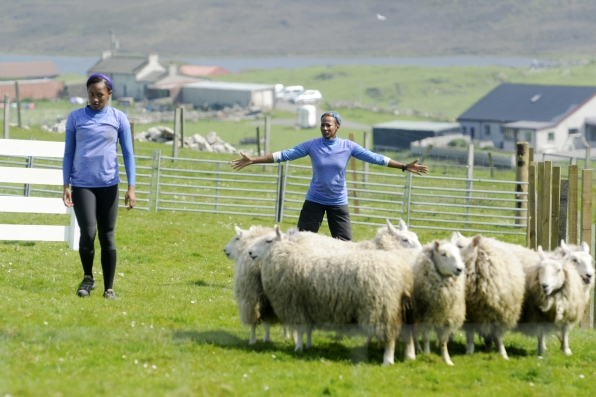 The Amazing Race 2014 Spoilers – Week 3 Preview 14