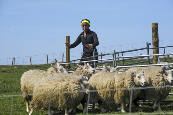The Amazing Race 2014 Spoilers – Week 3 Preview 4