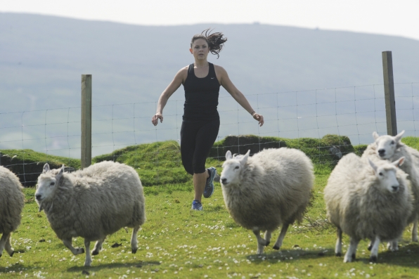 The Amazing Race 2014 Spoilers – Week 3 Preview 6