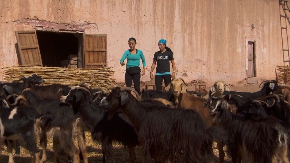The Amazing Race 2014 Spoilers – Week 6 Preview 16