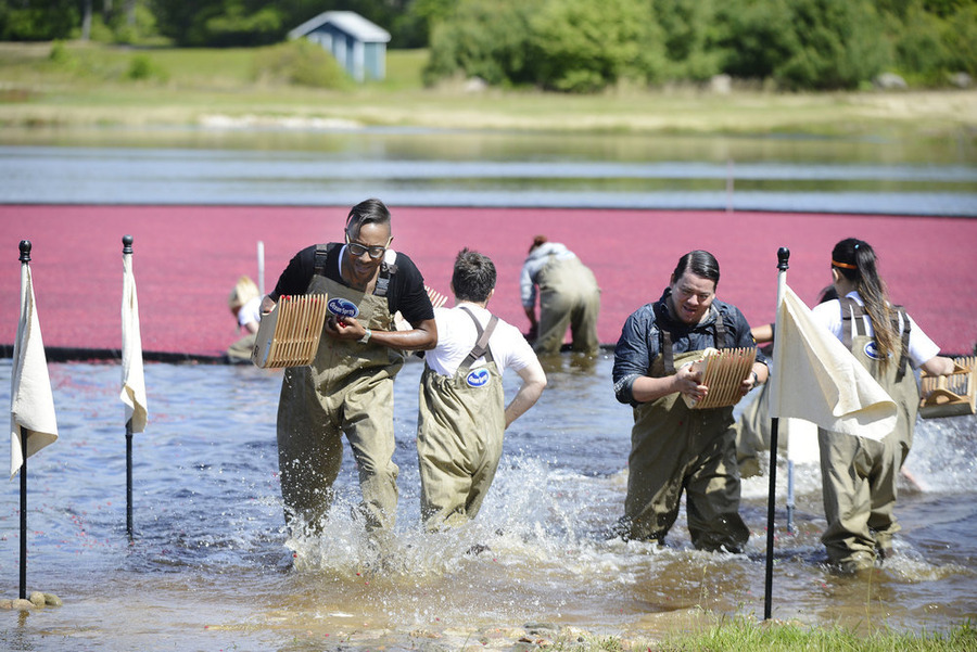 Top Chef – Season 12