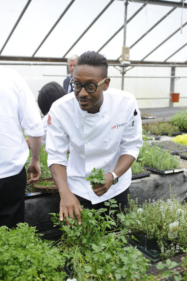 Top Chef – Season 12