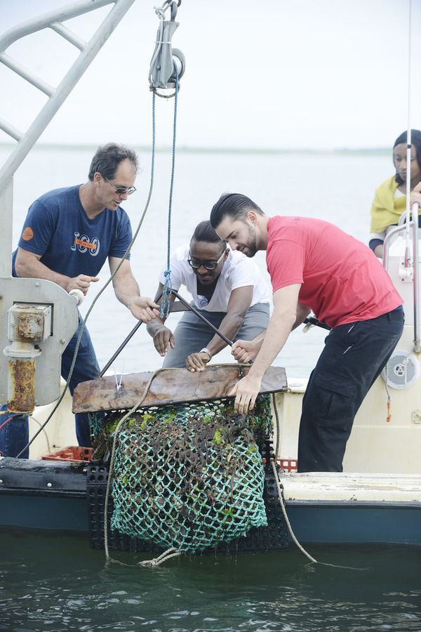 Top Chef – Season 12