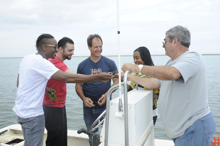 Top Chef – Season 12