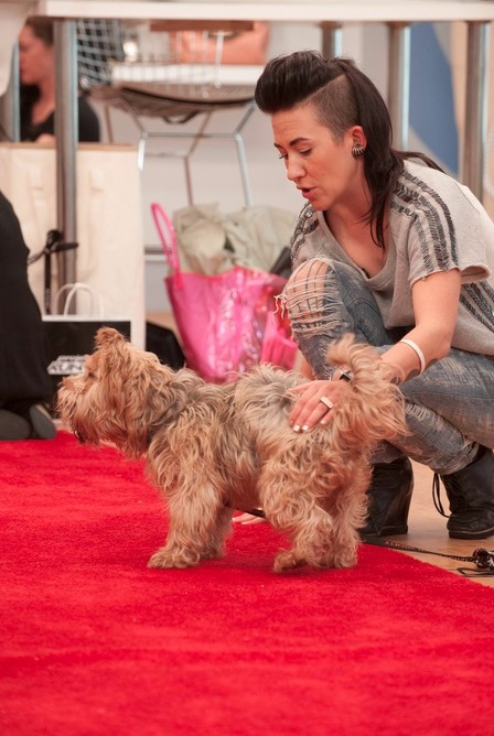 Project Runway All Stars 2015 Spoilers – Week 12 Preview 6