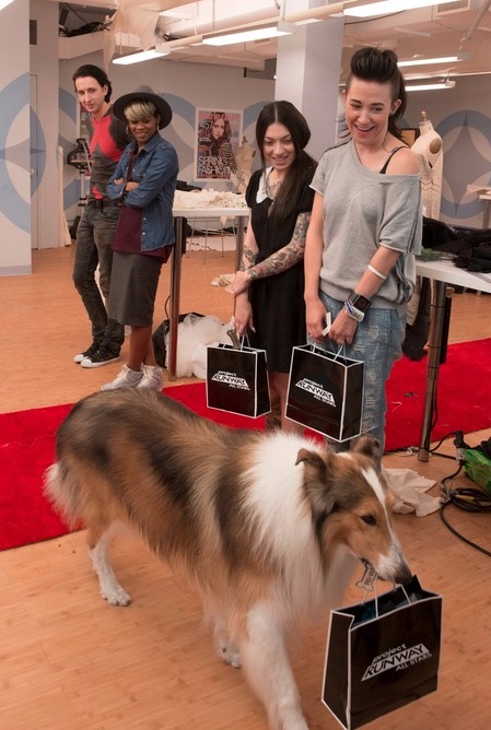 Project Runway All Stars 2015 Spoilers – Week 12 Preview 7