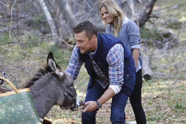 CHRIS SOULES, BECCA