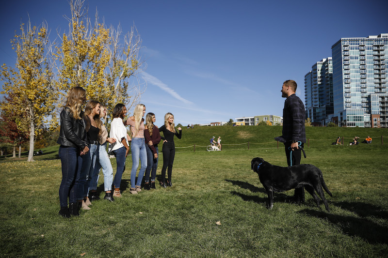 The Bachelor 2019 Spoilers – Week 7 Results